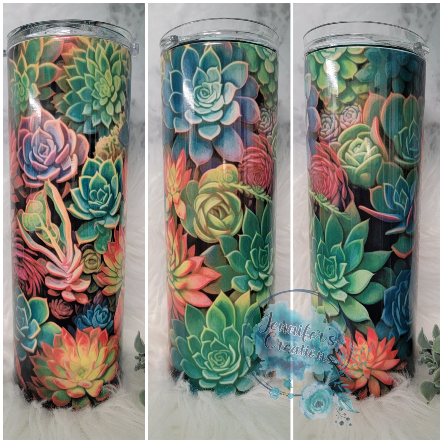 3D Succulents